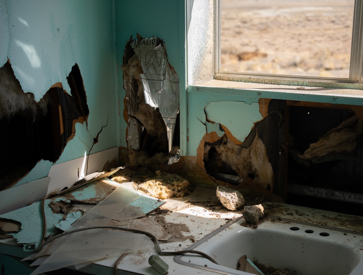 Disaster & Emergency Cleanup